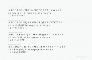 Venezianische Renaissance-Antiqua (Stempel Schneidler), Französische Renaissance-Antiqua (Garamont), Vorklassizistische Antiqua (Caslon) und Klassizistische Antiqua (Didot) im Vergleich. Infografik: www.typolexikon.de