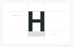 Mit dem Begriff »Fleisch« wird der nichterhabene, nichtdruckende Teil eines Schriftkegelkopfes einer physischen Drucktype (Druckletter) aus Metall, Holz oder Kunststoff beschrieben, der sich seitlich, ober- und unterhalb des Schriftbildes zwischen der äußeren Buchstabenkontur und dem Kegelrand befindet, wobei offene und geschlossene Punzen (Binnenräume) nicht dazu zählen.
