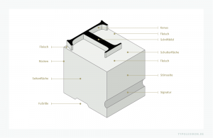 Der Kopf eines Schriftkegels trägt das spiegelverkehrt druckende Schriftbild nebst Konus, Fleisch und Schulterfläche. Der Körper wird rundum seitlich in Stirnseite (mit Signatur), Rückseite (Rücken) sowie linke und rechte Seitenflächen unterteilt. Am Fuß befindet sich in der Regel eine Fußrille.