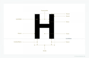 Am Kopf eines Schriftkegels befindet sich das spiegelverkehrt erhabene (druckende) »Schriftbild« sowie das nicht erhabene (nichtdruckende) Fleisch inklusive Konus, Schulterfläche, Vor- und Nachbreite.