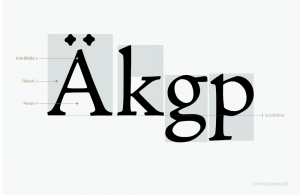 Bei digitalen Fonts wird der nichtdruckende Außenraum eines Schriftzeichens als Fleisch bezeichnet, also alle nichtdruckenden Flächen seitlich, ober- und unterhalb des Schriftbildes innerhalb einer koordinierten Fläche um das Zeichen. Bezugspunkte sind die äußersten Ränder des Schriftbildes und ein virtueller Bezugsrahmen, der alle Teile eines Schriftzeichens, inklusive seiner Formmerkmale, z.B. Striche, Bögen, Tropfen oder Serifen einschließt.