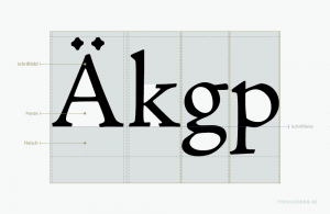 Bei physischen Drucktypen wird der gesamte nichterhabene Außenraum des Kopfes eines Schriftkegels als Fleisch bezeichnet, also alle nichterhabenen Flächen seitlich, ober- und unterhalb des erhabenen Schriftbildes eines Schriftkegels, unabhängig von Schulterhöhe, Konus, Vor- und Nachbreite. Bezugsgrößen sind die äußersten Ränder des Schriftbildes und die beiden Seitenflächen, die Stirnseite und der Rücken des Kegelkopfes.