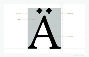 Die Vor- und Nachbreite eines Schriftzeichens grenzt bei digitalen Fonts direkt an das Fleisch bzw. an das Schriftbild, wird aber – im Gegensatz zu physischen Drucktypen – selbst nicht als Fleisch bezeichnet. Das Fleisch ober- und unterhalb eines Begrenzungsrahmens entfällt, da im DTP Desktop Publishing der Zeilenabstand über die Anwendersoftware, beispielsweise InDesign® von Adobe® oder QuarkXpress® von Quark®, flexibel geregelt wird.